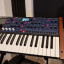 Korg Multi poly