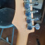 Guitarra Vantage tuneada