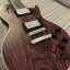 Guitarra Harley Benton Agufish Signature
