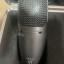 2 Micros SHURE PG42