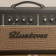 Fender Vibro King / Bluetone Black King Reverb