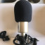 RESERVADO Microfono Condensador Studio Project B3 SP