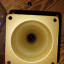 Eden Tweeter Horn for D-Series Cabinets, By Eminence