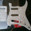 Fender Pickguard SSS WP + Tremolo Cover WP