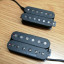 Seymour Duncan Pegasus & Sentient Set