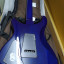 PRS SE Standard 24  Translucent Blue Zebra pickups