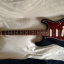 Fender Stratocaster Plus 1993 + Pastillas David Rossi (VENDO/CAMBIO)