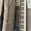 Casio casiotone MT-100