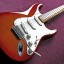 Fender stratocaster Standard Plus Top