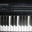 Sintetizador Roland JX1 ¡5 octavas!