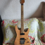 Harley Benton Fusion II HH FR FNT