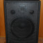 Altavoz monitor de escenario