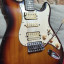 Stratocaster Alden