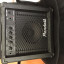 Washburn X300 PRO + Amplificador Randall 15W !!REBAJA!!