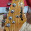 Stratocaster Alden