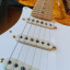 Stratocaster 50 aniversario