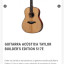 Taylor 517e Builder's Edition