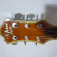 Acustica Michael Kelly Visionary 15CE