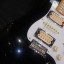 Fender Stratocaster Dave murray