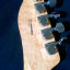 Clavijero Fender Korea