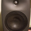 Genelec 8040 pareja