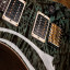 PRS Custom 24 " Special Order" Top10 korina