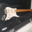 Mastil Fender Stratocaster