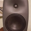 Genelec 8040 pareja