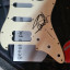 Golpeador Fender Firmado Steve Harris