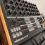 Erica Synths Perkons Limited Edition