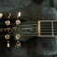 Gibson Les Paul Standard 100 Anniversary edición especial