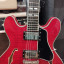 Eastman T486 RD