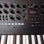 korg minilogue xd 2019