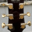 Guitarra Ibanez John Scofield JSM100VT