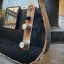 Telecaster / relic PARDO