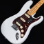 Pickguard completo noisseles y shawmbucker ( nuevo )