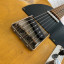 Telecaster Rebelrelic 54 T-series