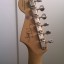 Fender Stratocaster Jimmie Vaughan TEX-MEX "RESERVADA"