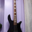 Bajo Spector NS2000B (1998)