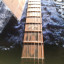 PRS Custom 24 Wood Library LTD