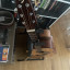 Breedlove AD200/SM (spruce/mahogany) también vendo