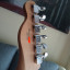 Fender Telecaster Player 2024