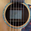 Breedlove AD200/SM (spruce/mahogany) también vendo