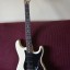 Fender Stratocaster Floyd Rose MIM 2004