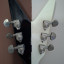 Dean V Custom Michael Schenker Corea