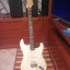 Fender Stratocaster Standard México