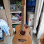Electro-acústica CRAFTER Korea