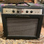 Ampeg J20 Handmade RESERVADO