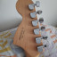 Squier Stratocaster Standard (RESERVADA)