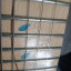 Vendo/Cambio Ibanez Jem 77-BFP